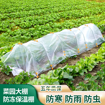 大棚支架花棚菜棚保温棚冬季菜架温棚骨架植物拱棚支架保温架菜地