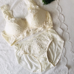 包邮新款外贸出口韩单蕾丝女内衣无钢圈定型杯后三排扣文胸套装