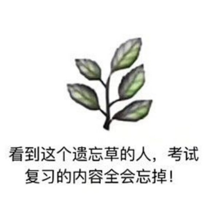 给好朋友点的遗忘草祝他考试必挂科复习内容全部遗忘学了也白学