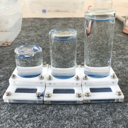 宠物蚂蚁亚克力不锈钢网防咬穿喂水器30口径大容量（组装好的）