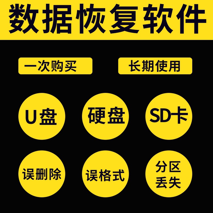 电脑移动硬盘数据恢复维修服务U盘内存sd卡照片视频文件修复软件