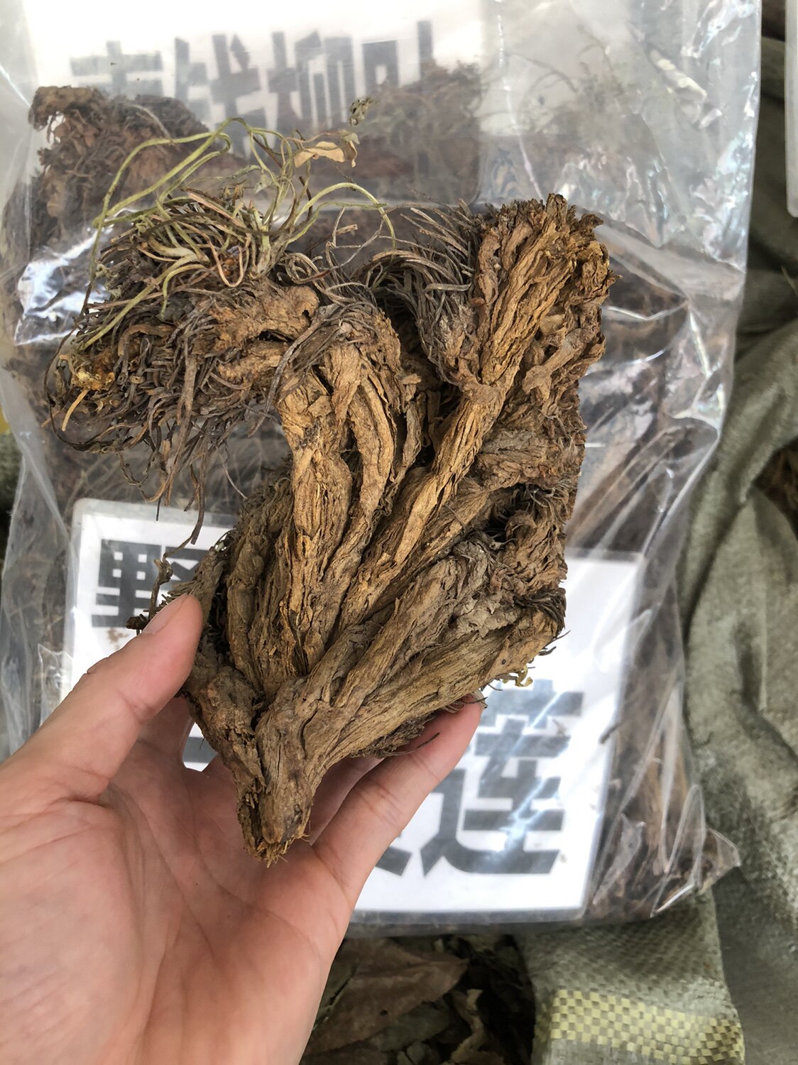 广西药材 岩黄连纯根岩黄莲干 岩胡 岩连