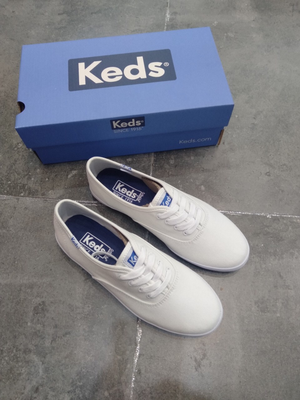 Keds小白鞋帆布薄底系