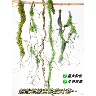 饰树枝干室内藤蔓假花藤壁挂橱窗创意布造景 仿真树藤青苔枯藤条装