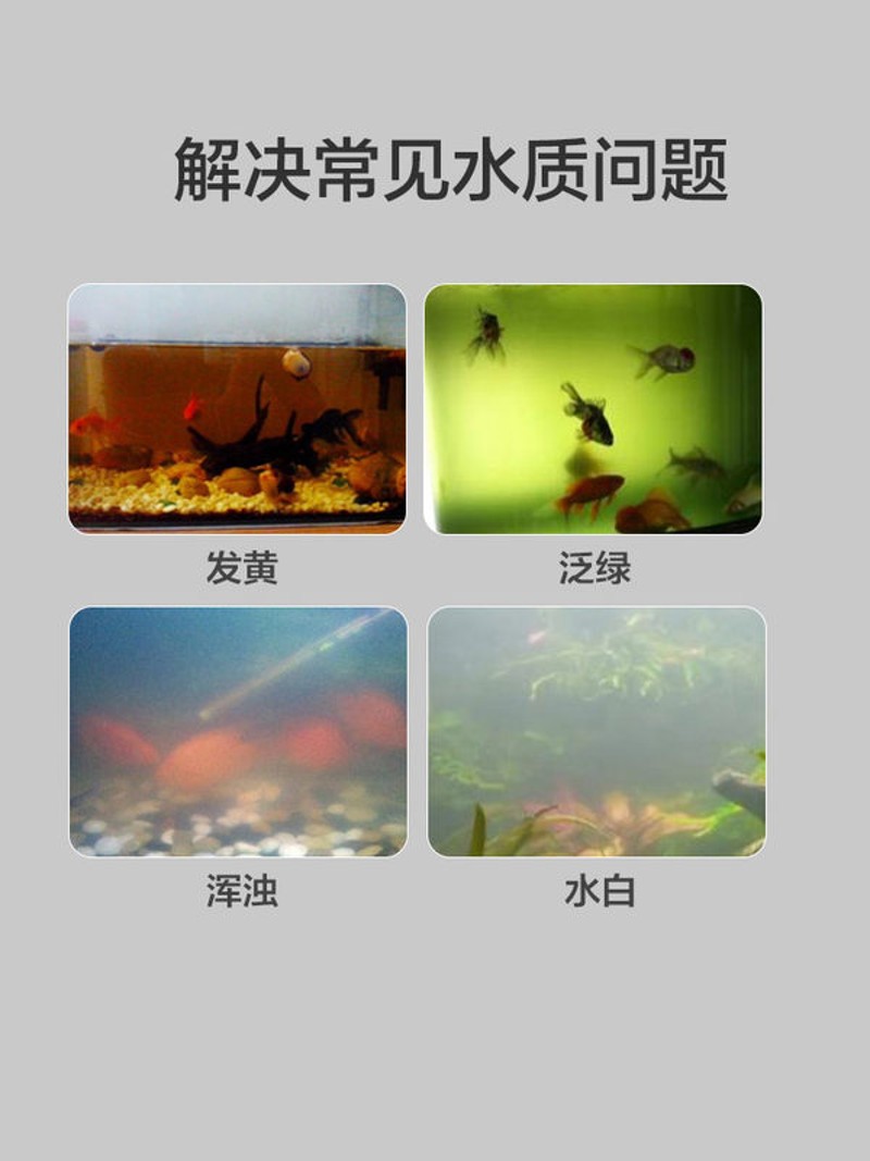 西维培菌清水液  水族专用 鱼缸Z培菌净水液