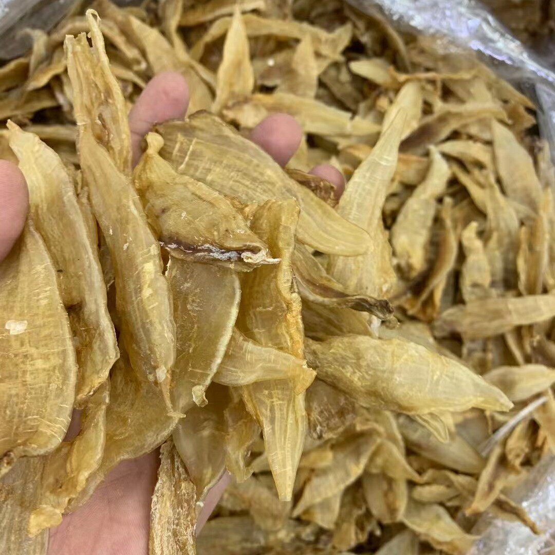金龙花胶,花胶(第6页)_大山谷图库