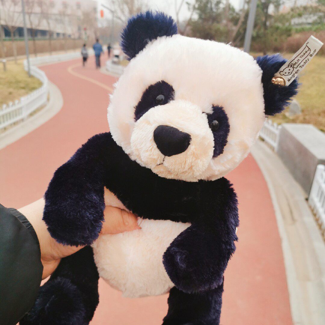 teddy 超柔超好撸熊猫公仔泰迪熊毛绒玩具