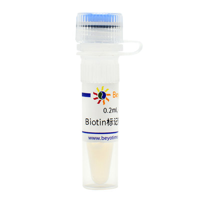 碧云天 Beyotime A0308 0.2ml Biotin标记辣根过氧化物酶