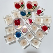 特价 微瑕疵捡漏亏本清仓蒲公英滴胶树脂标本玫瑰花树脂标本摆件