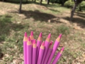 订单 三角杆加粗芯油性彩铅笔 单色粉色 德国 笔杆带花纹款 24支