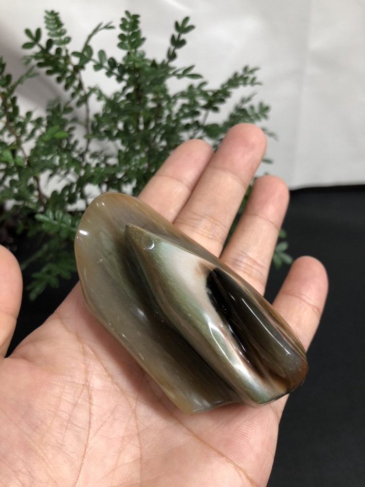 缅甸树化玉手把件