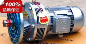 优惠行星摆线针轮减速机 WB85-11-180W电机-立式/卧式