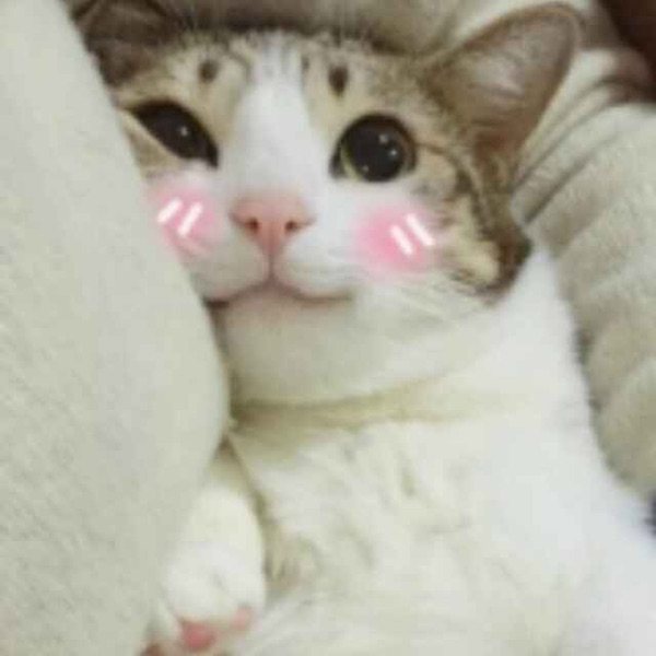 Accessoire cheveux - Ref 1204890 Image 1