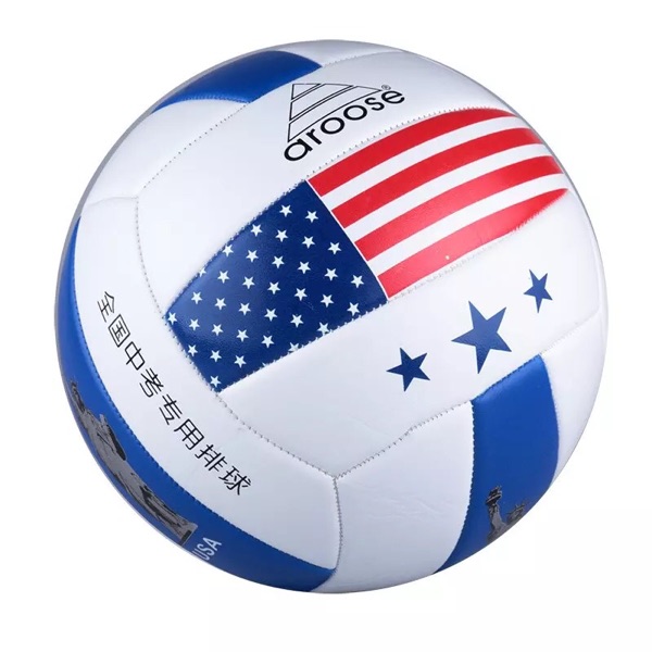 Ballon de volley-ball - Ref 2009480 Image 1