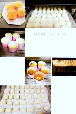 DAOGRS S1s嵌入式蒸烤箱使用三个月,不吹不黑评测