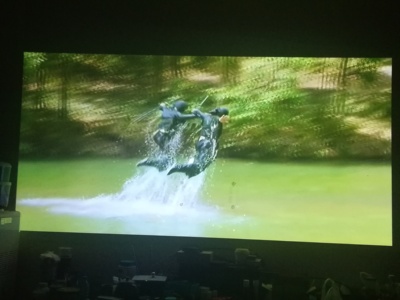 对比看看大获科技A11b对比坚果J6S区别是？哪个好用？