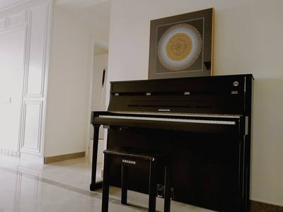 说说:珠江艾茉森F80电钢琴怎么样,使用2个月后感受,不忽悠揭秘真相!!