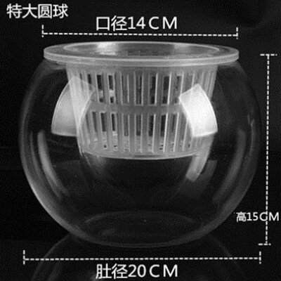 速发圆口饰肚玻璃花瓶绿萝水培桌面器皿瓶子大号装大品花盆水养养