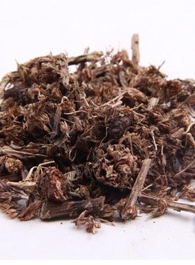 中药材瓦松500克包邮