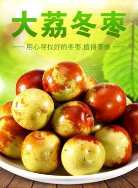现摘大荔冬枣新鲜脆甜特一级超大当季水果大棚陕西渭南孕妇儿童