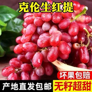 克伦生无籽红提子新鲜葡萄应季水果脆甜多汁孕妇当季整箱包邮