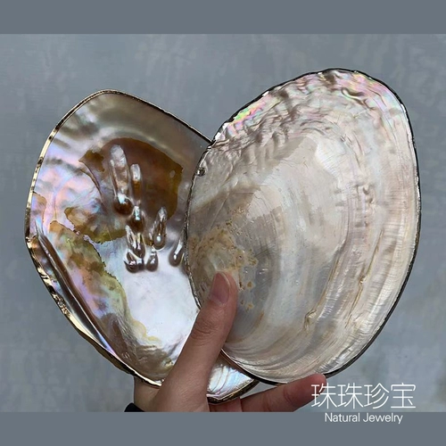Натуральная пресноводная раковина жемчужная раковина полирована с ювелирными украшениями рыбки аквариум -ландшафт творческая тарелка