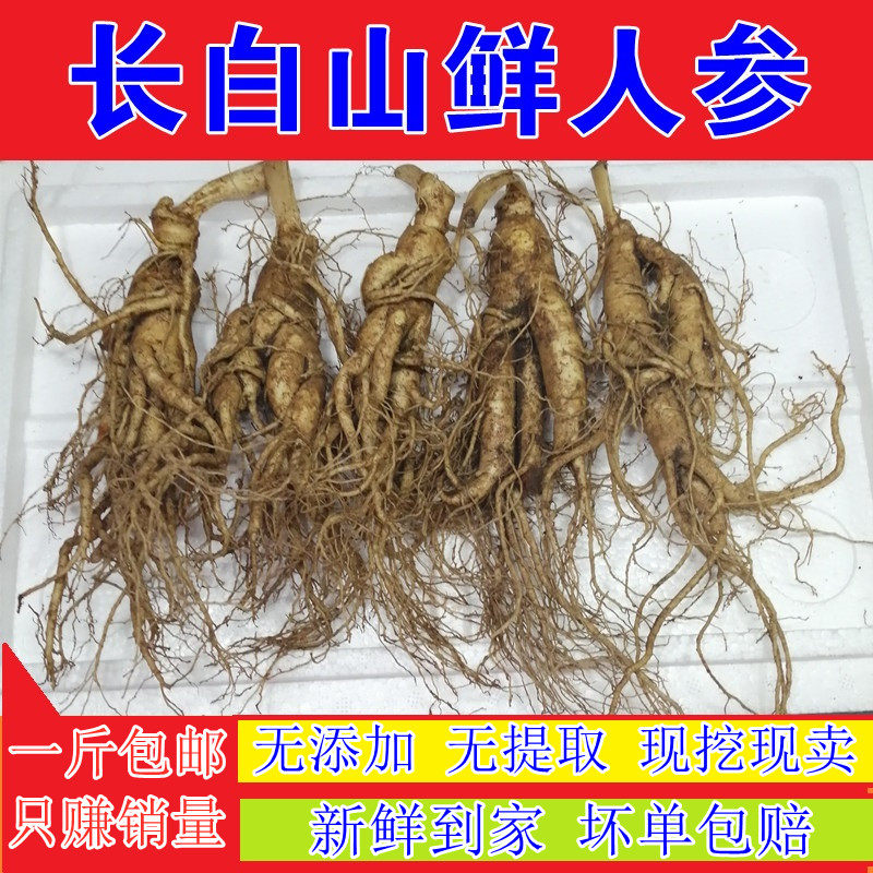 东北三宝林下参新鲜人参鲜人参新鲜可切泡水煲汤冲饮可当饭泡茶