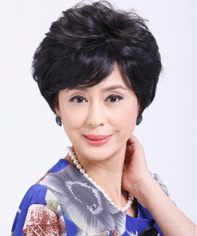 Perruque OTHER   cheveux courts - Ref 2612750 Image 1