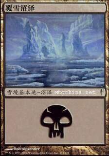 呆呆龙卡牌 万智牌 覆雪沼泽 简中/英文 骤霜