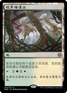 簡中 銳草陲灌叢 萬智牌 金 萬界歸一 地 英文 呆呆龍卡牌