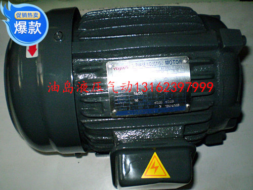 台款内轴式油泵电机 铜芯内轴式电机 油泵电机 油压电机3HP/2.2KW