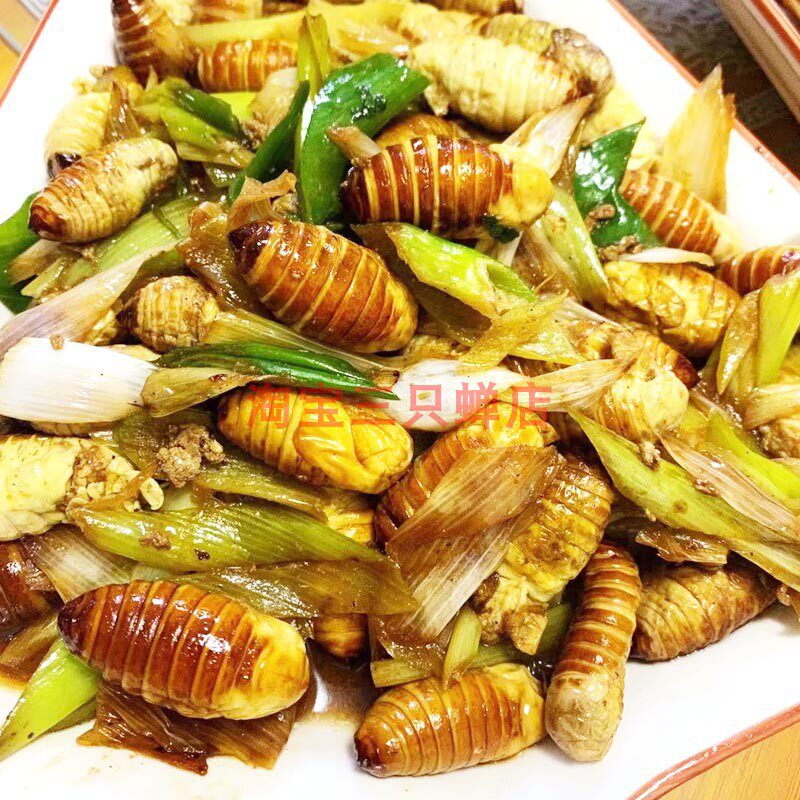 美味昆虫油炸神仙蛹薄皮大蚕蛹食用虫子嫩蚕美味即食东北美食大蛹