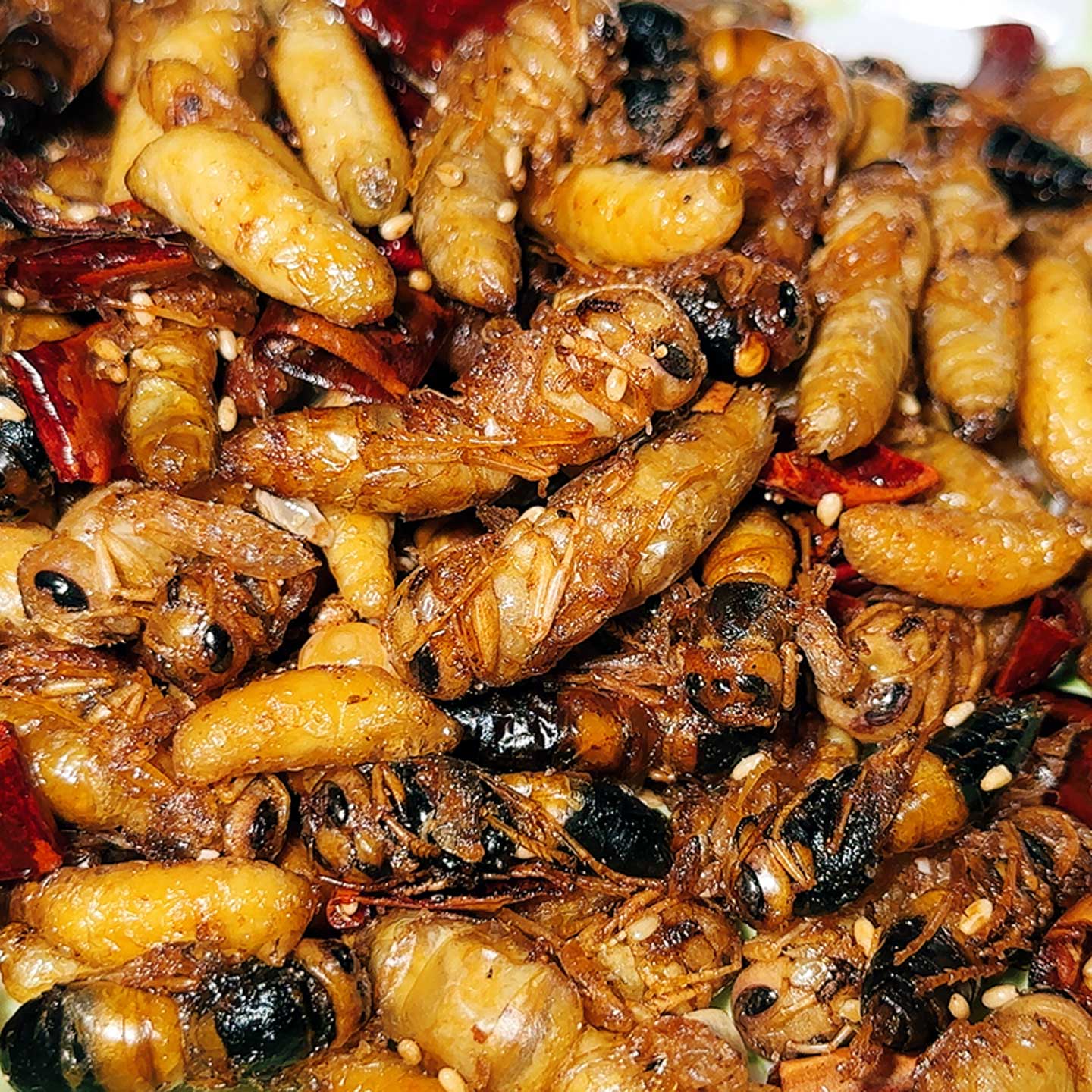 即食虫子大马蜂新鲜油炸土蜂虫黄蜂蛹胡蜂地蜂熟食用低脂昆虫美食