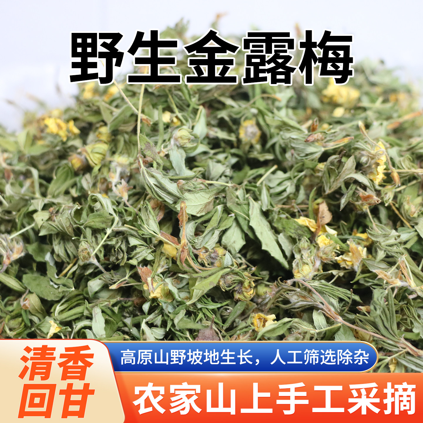 精选内蒙土特产中药材农家采摘金腊梅棍儿茶金露梅山茶干包邮