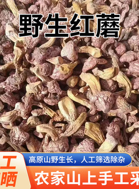内蒙赤峰野生红蘑干货天然晾晒