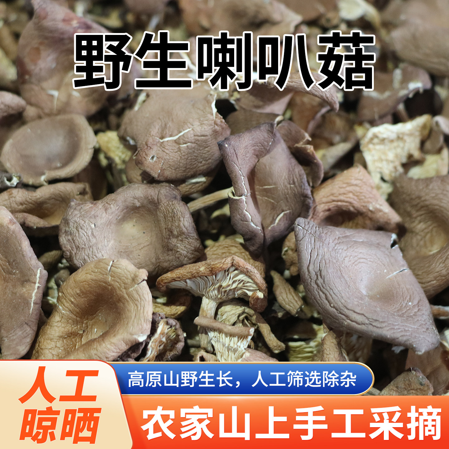 精选内蒙特产农家采摘天然晾晒喇叭蘑干货东北蘑菇正品包邮