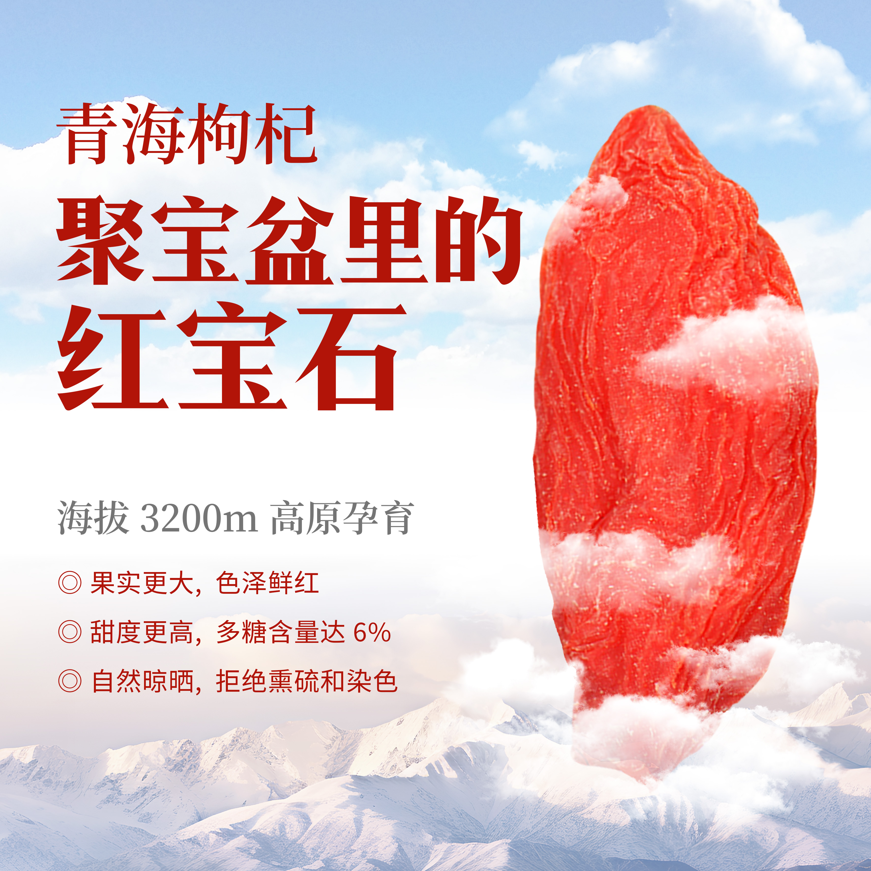 海拔2800米青藏高原枸杞