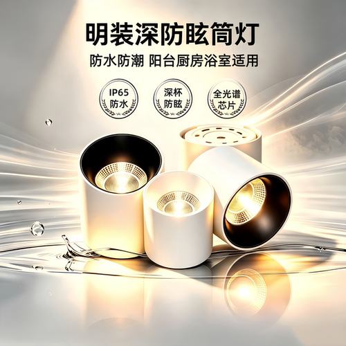 明装防水筒灯户外屋檐吸顶灯led门头雨棚室外顶灯阳台浴室灯IP65