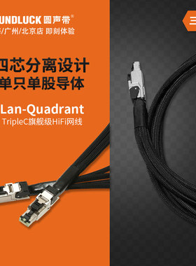 Acoustic Revive/音神器LAN-QUADRANT-TripleC旗舰HiFi网线圆声带