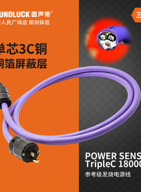 Acoustic Revive/音神器POWER SENSUAL TripleC18000发烧级电源线