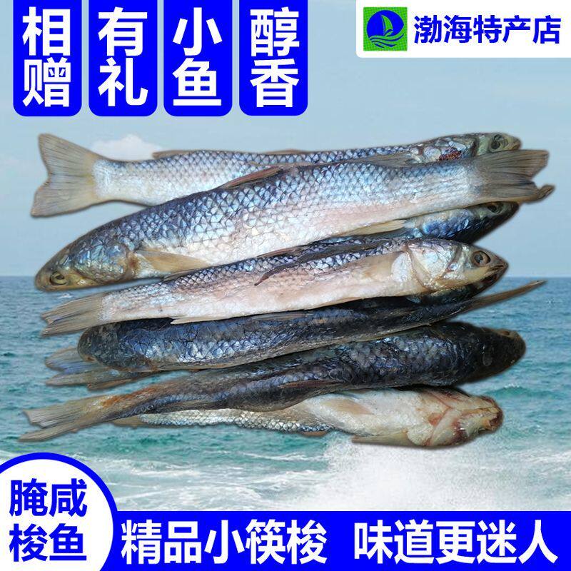 腌咸梭鱼渤海特产小筷梭小号海鱼非养殖自腌制水产干货新鲜红眼梭