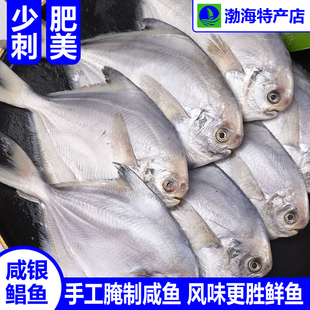 腌咸银鲳鱼平鱼白鲳鱼渔家自晒特产风干咸鱼水产干货山东无棣特产