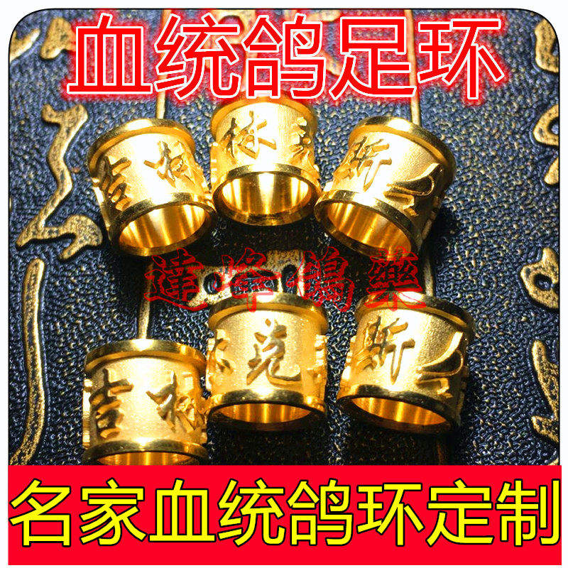 定制名家血统鸽环特留种鸽金环赛