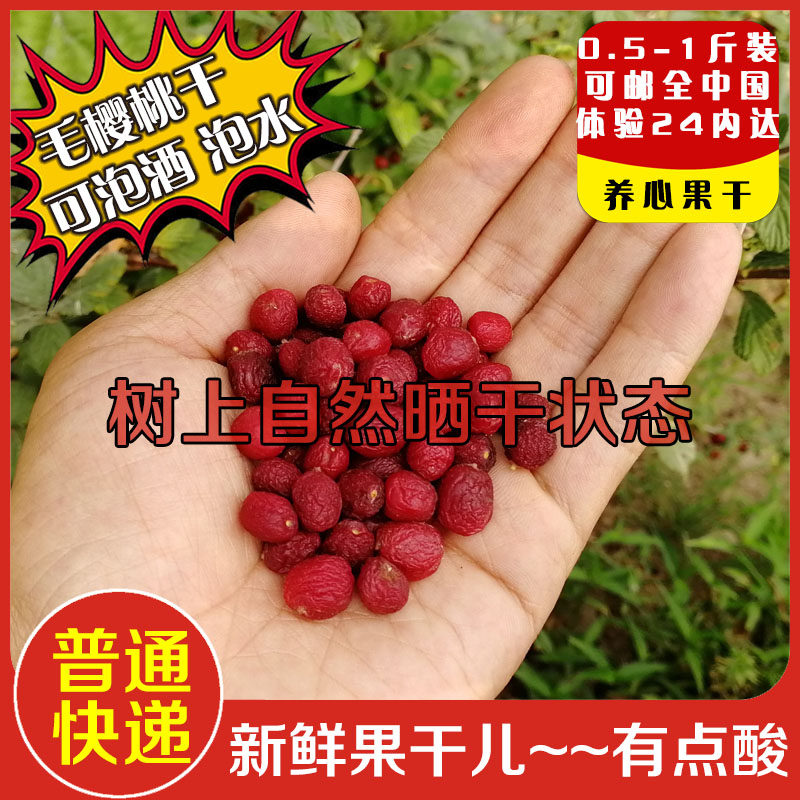 代晒26年】东北地道新鲜毛樱桃干自然晾晒五斤鲜樱桃晒一斤果干