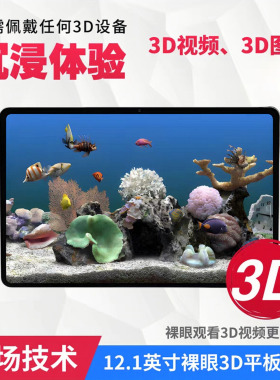 12.1英寸裸眼3D平板电脑便携办公娱乐裸眼3D视频MPO立体图片观看