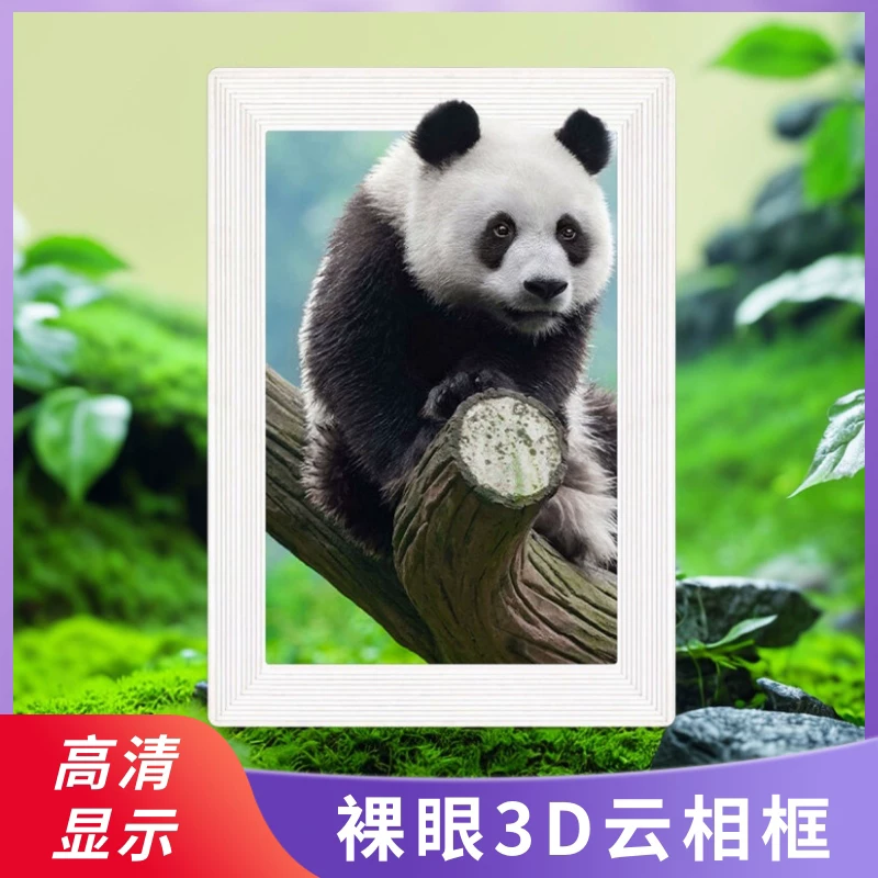 Digital smart electronic white photo frame, 10.1 inch, 3D