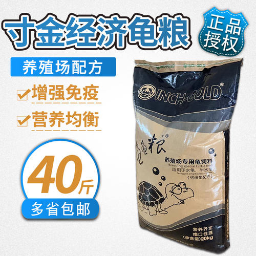 寸金养殖场石金钱龟料种龟20kg