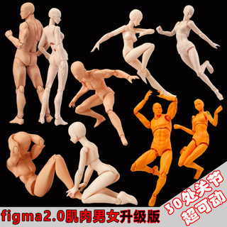 模型 厂货figma 2.0男女1.0关节可动素体美术漫绘画人偶手办摆件