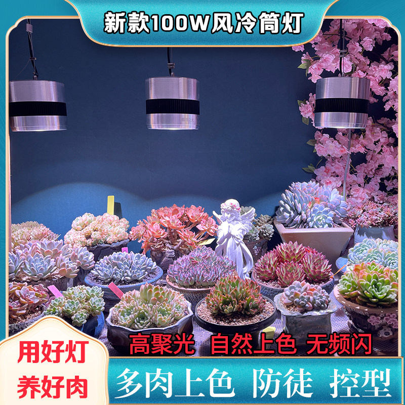 植物之光多肉补光灯聚光风冷筒灯