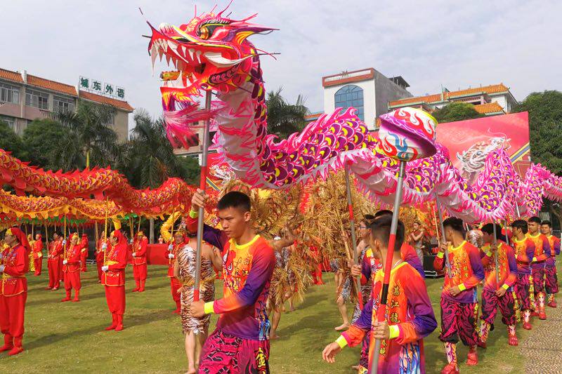 南龙广东龙中国舞龙舞龙道具中国舞龙竞技龙比赛南龙